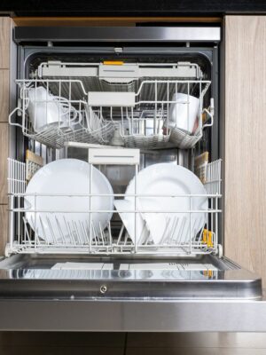 dish-washer